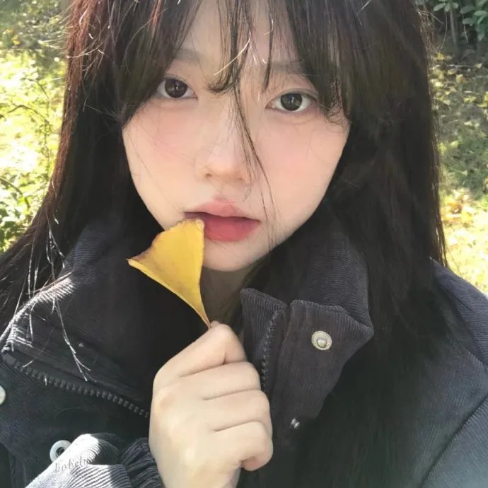 交错卢森堡